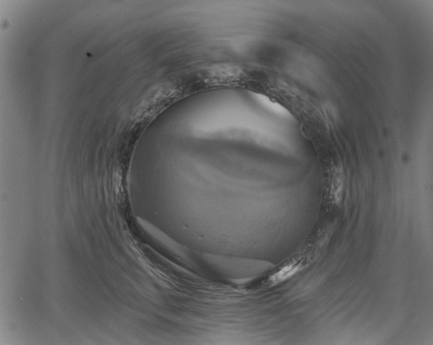 X0000067350711200604030934