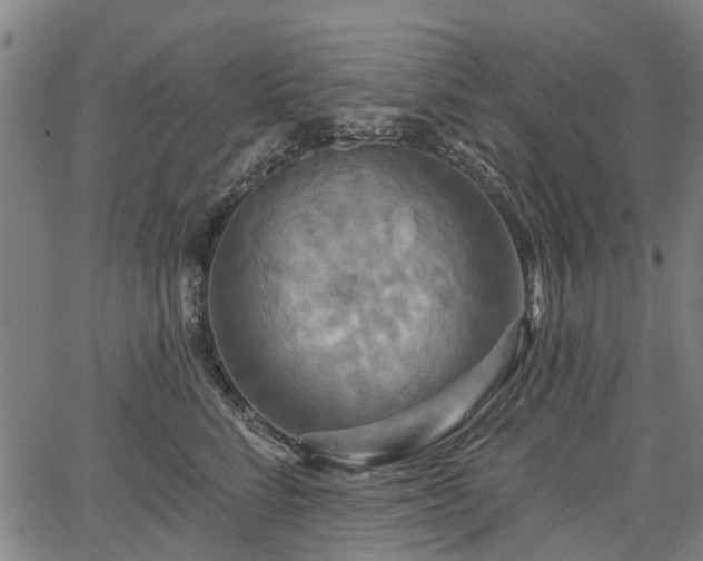 X0000067350712200604030934