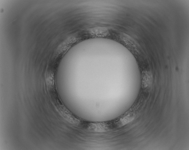 X0000067350713200604030934