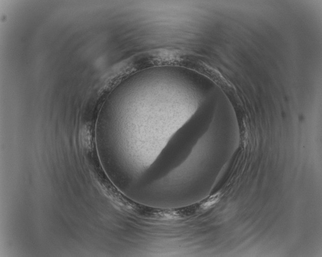 X0000067350715200604030934