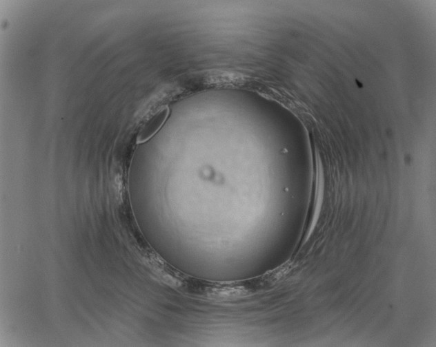 X0000067350716200604030934