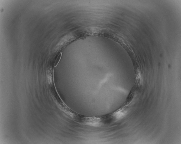 X0000067350719200604030934