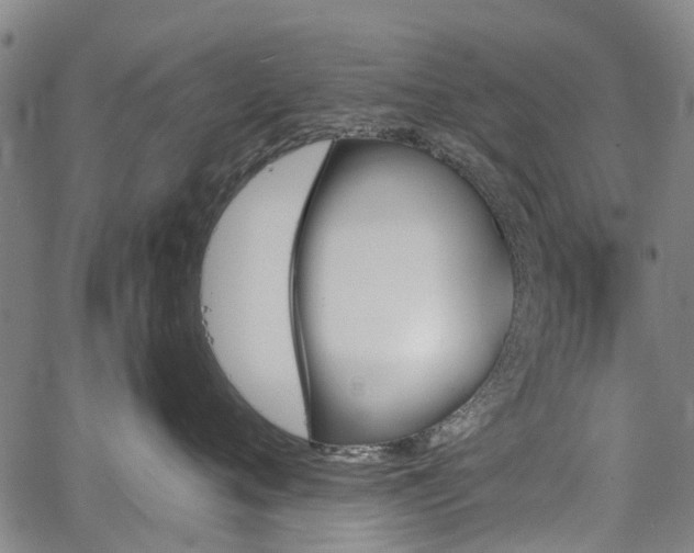 X0000067350720200604030934