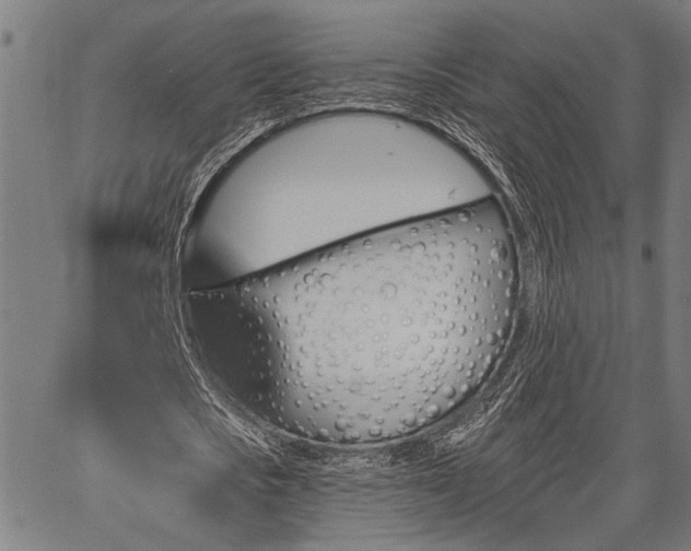 X0000067350721200604030933