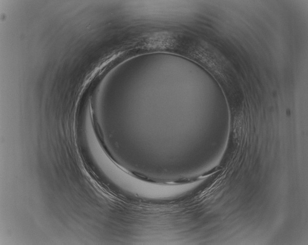 X0000067350722200604030933