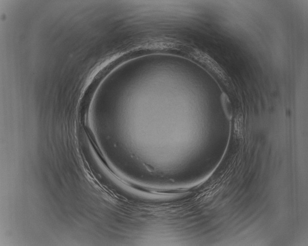 X0000067350724200604030933