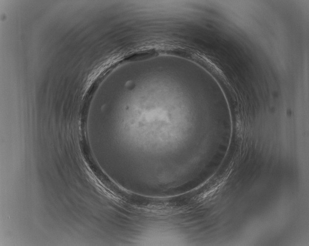 X0000067350725200604030933