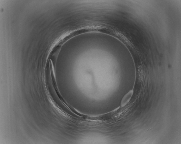 X0000067350726200604030933