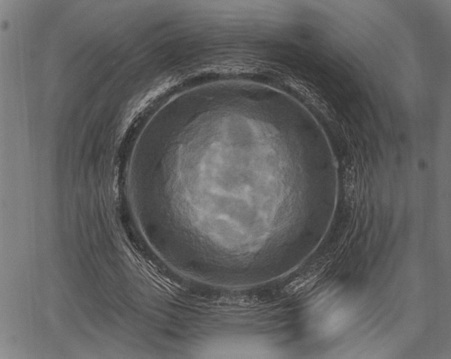 X0000067350727200604030933