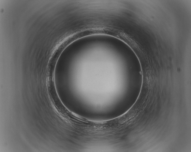 X0000067350728200604030933