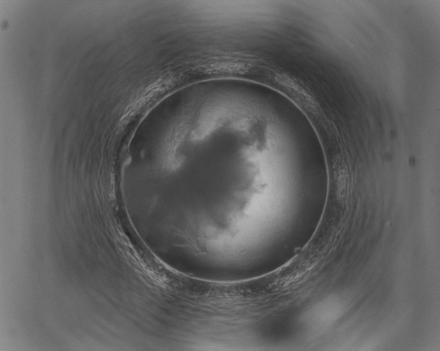 X0000067350729200604030933