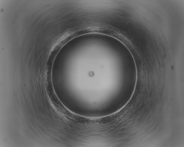 X0000067350730200604030933