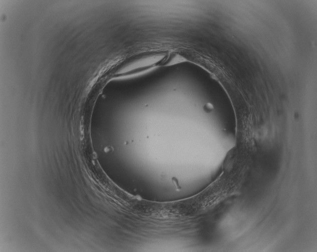 X0000067350731200604030933