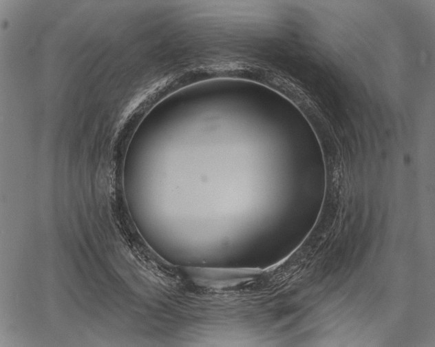 X0000067350732200604030933