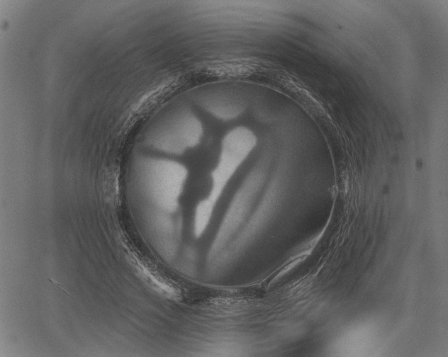 X0000067350733200604030933