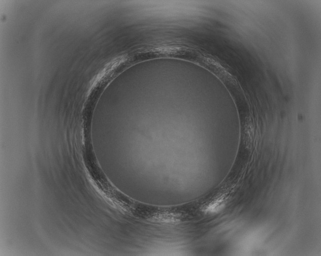 X0000067350734200604030933