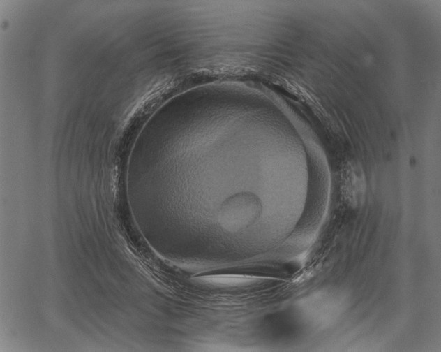 X0000067350735200604030933