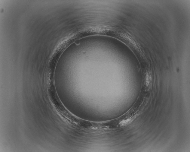 X0000067350736200604030933