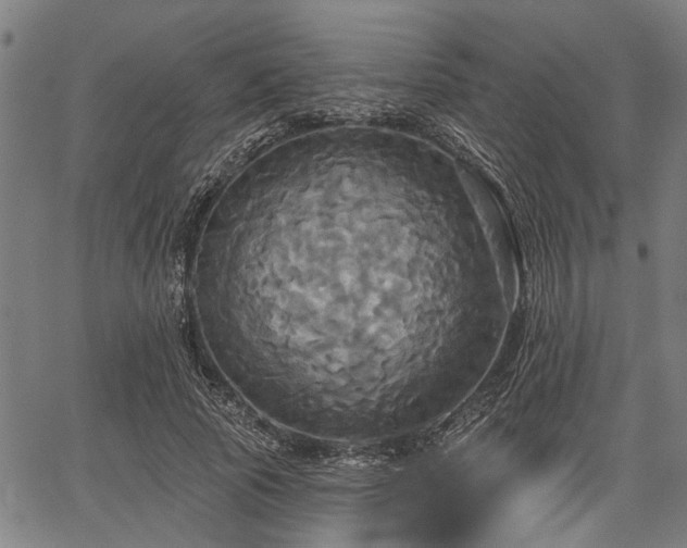 X0000067350737200604030933