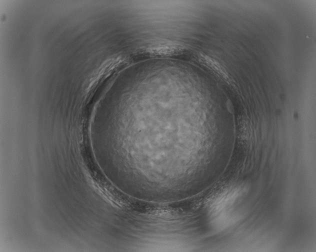 X0000067350738200604030933