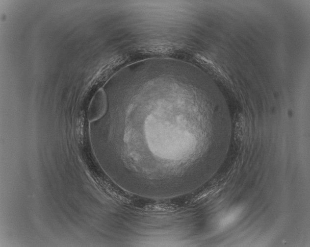 X0000067350739200604030933