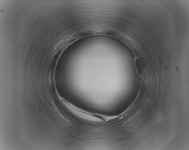 X0000067350740200604030933