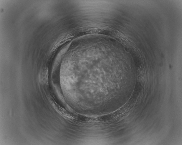 X0000067350742200604030933