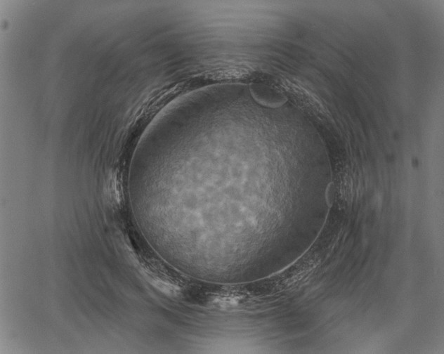 X0000067350743200604030933