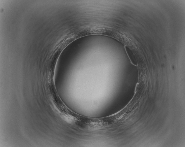 X0000067350744200604030933