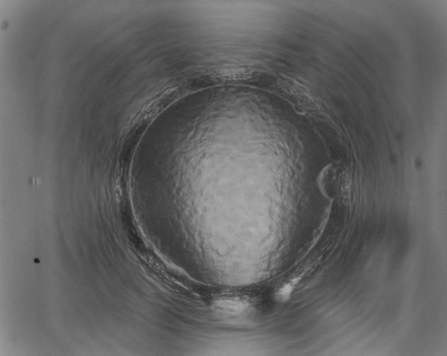 X0000067350746200604030933