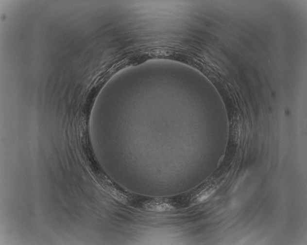 X0000067350747200604030933