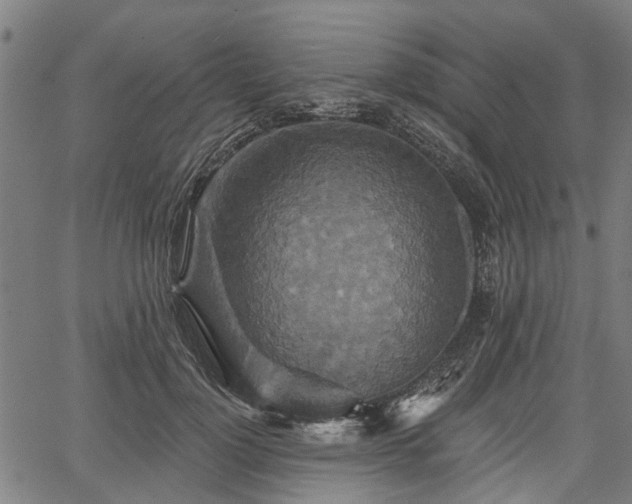 X0000067350748200604030933