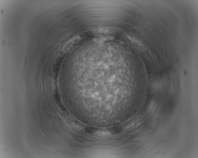 X0000067350749200604030933