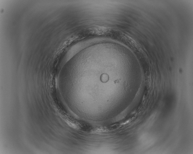 X0000067350750200604030933