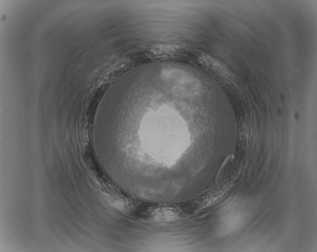 X0000067350751200604030933