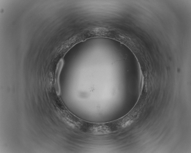 X0000067350752200604030933