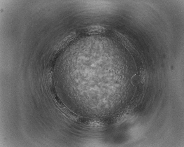 X0000067350753200604030934