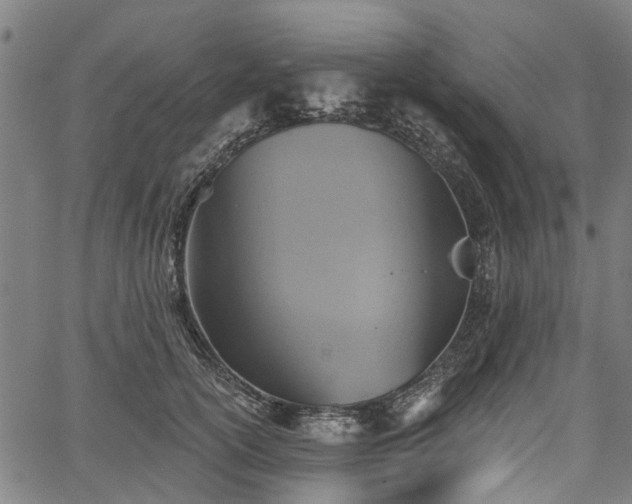 X0000067350754200604030934