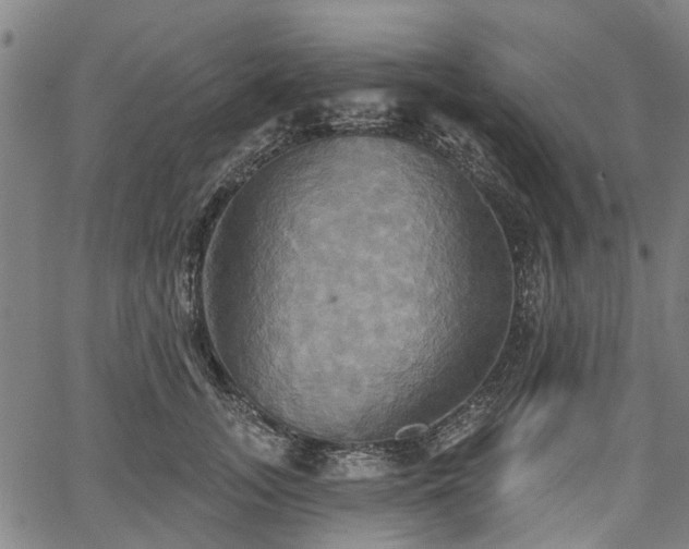 X0000067350755200604030934