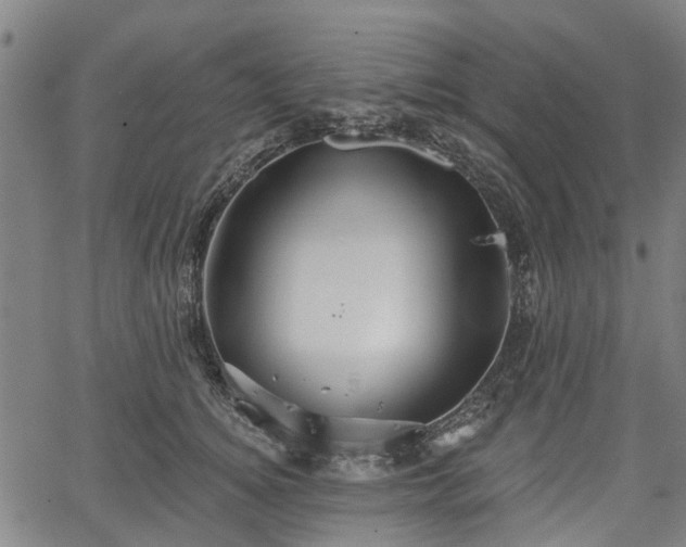 X0000067350756200604030934