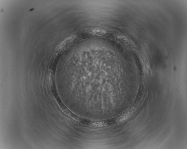 X0000067350757200604030934