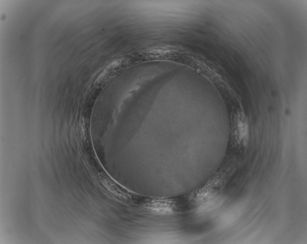 X0000067350758200604030934