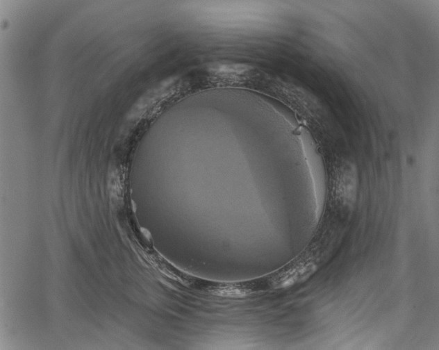 X0000067350759200604030934