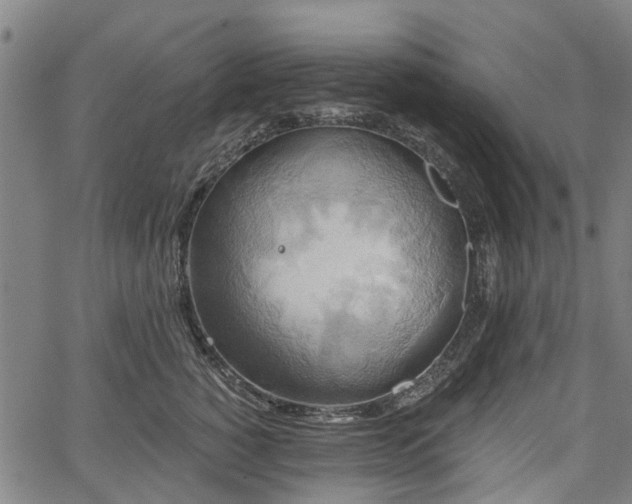 X0000067350760200604030934