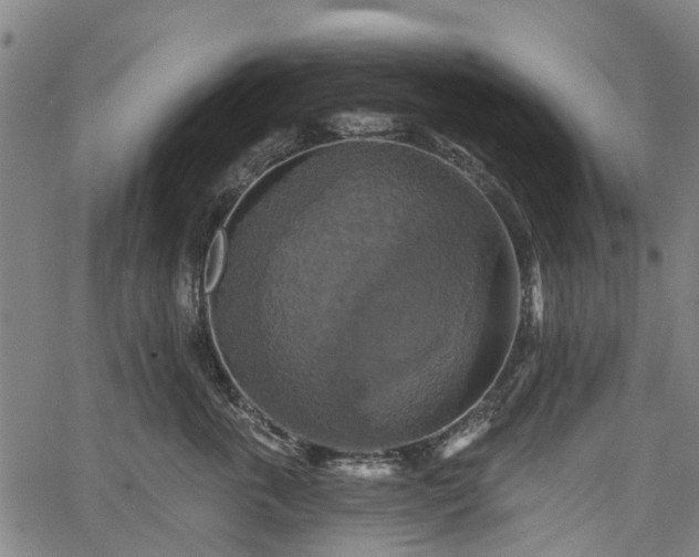 X0000067350763200604030934