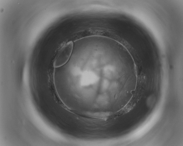 X0000067350765200604030934