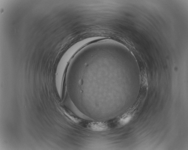 X0000067350766200604030934