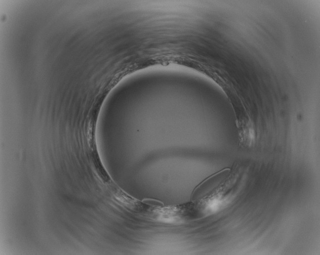 X0000067350767200604030934