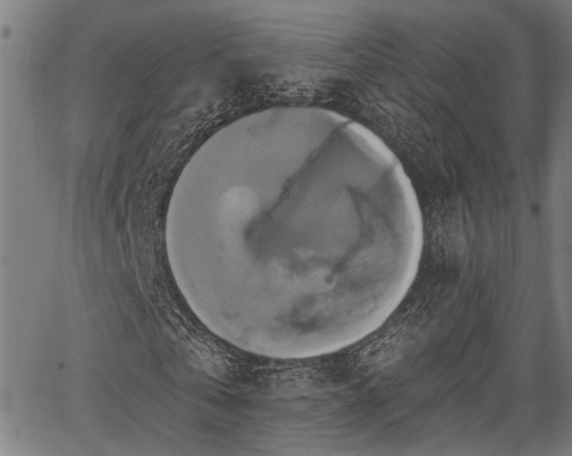 X0000067350769200604030933