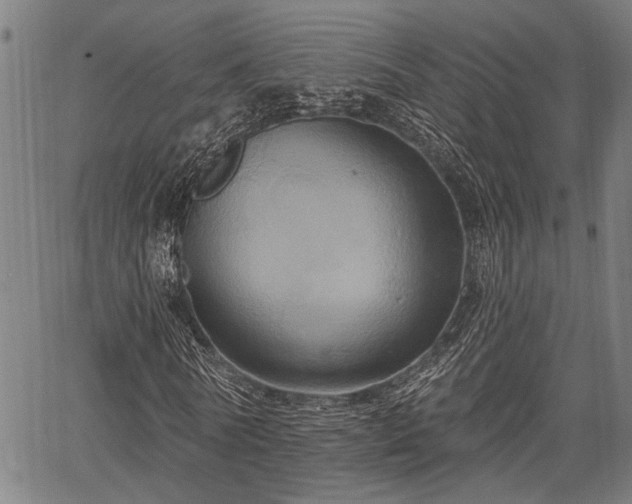 X0000067350770200604030933